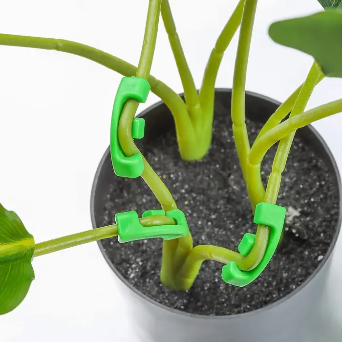 HLES 36 pièces entraîneur de plantes à 90 degrés pour l'entraînement à faible Stress Clips de pliage
