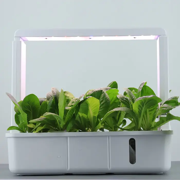 Système de culture hydroponique avec 15 trous de plantation, lumière Led à spectre complet, Non toxi
