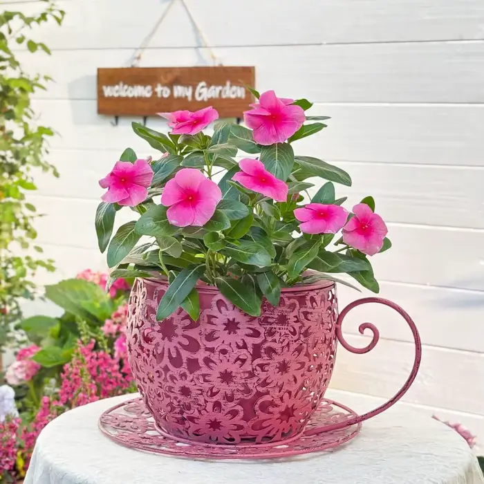 Pot de fleurs vintage en fer
