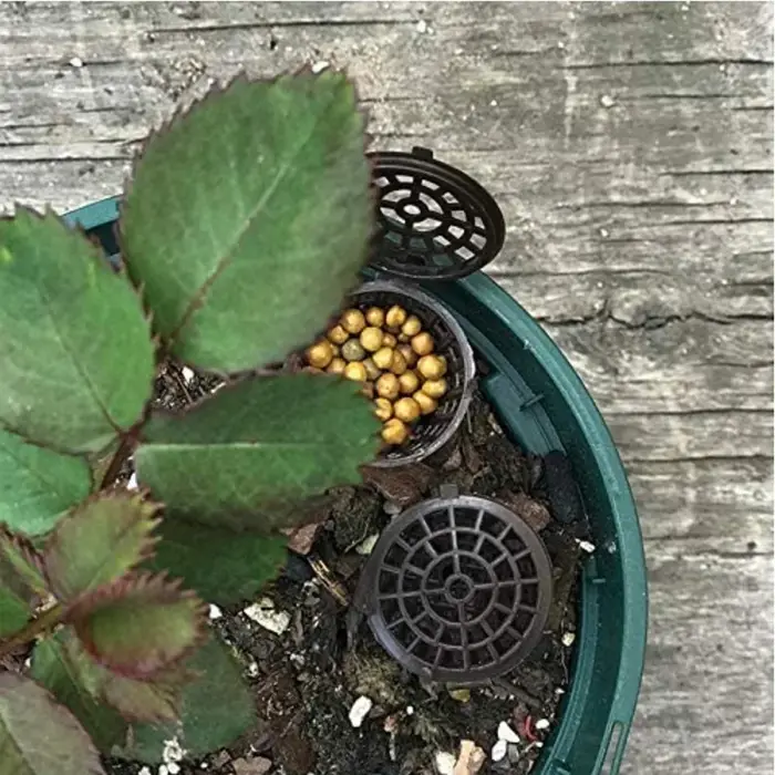 Mir de navigateur de plantes pour pot de fleur