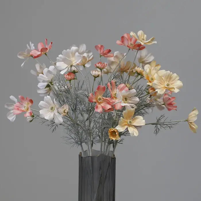 Branche de cosmos de chrysanthème pastoral