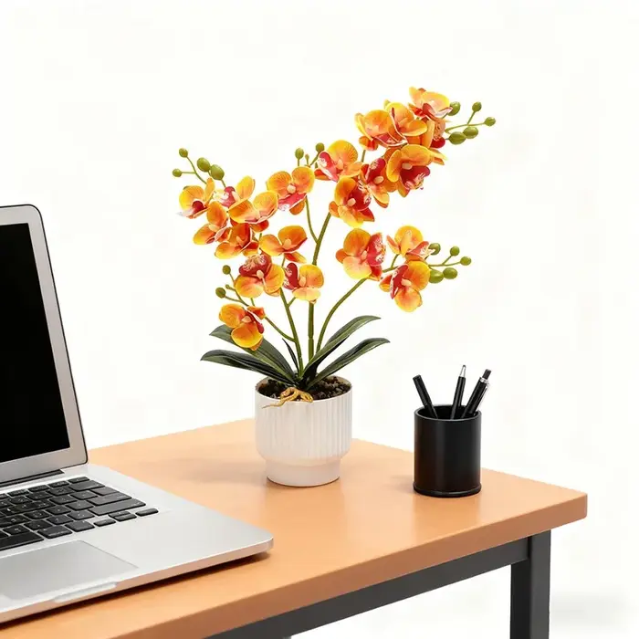 21 plantes en pot d'orchidées papillon, Arrangement floral pour la maison, décoration Texture colle,