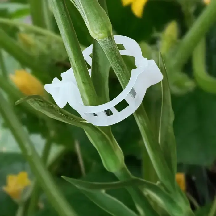 Clips de Soutien Réutilisables en Plastique pour Plantes