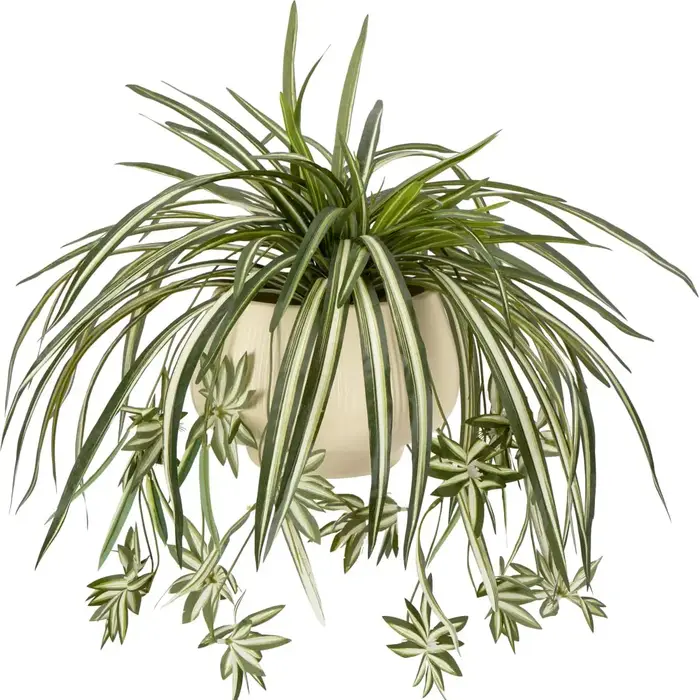 4 plantes artificielles suspendues en forme d'araignée