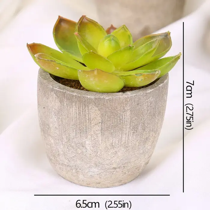 Mini plantes succulentes artificielles à feuilles persistantes