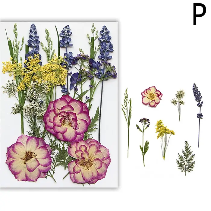 Fleurs séchées véritable plante naturelle pressée fleur pour résine époxy remplissage bricolage Nail Art artisanat