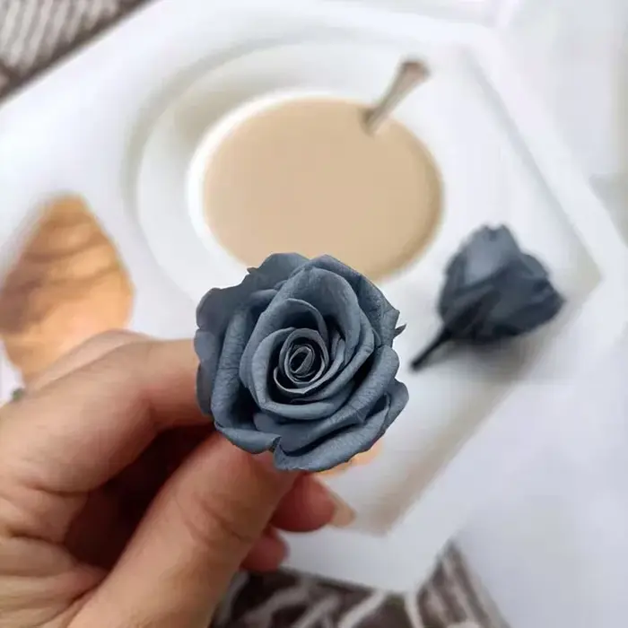 Mini Roses séchées réelles conservées