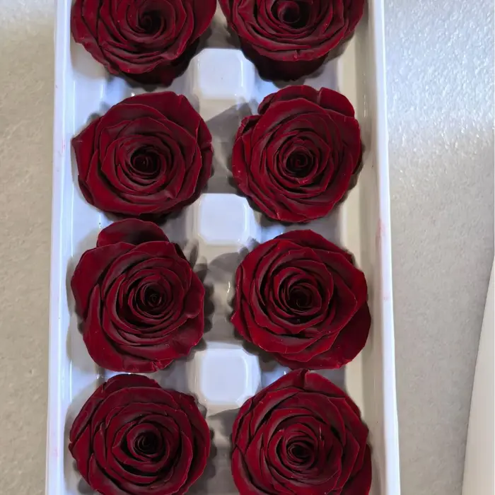 Rose conservée de classe A de haute qualité, boîte entière de 4 à 5 cm de 8/10/12 fleurs, matériel d