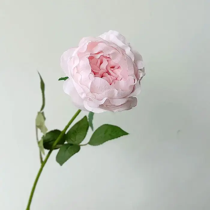 Fleurs de pivoines artificielles nouvelle collection hydratant toucher réel décoration de maison salon fête de mariage