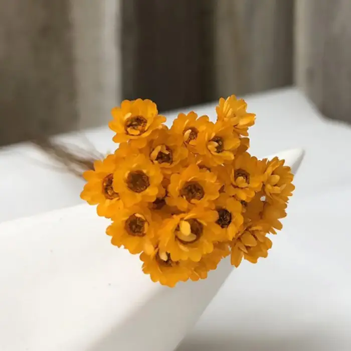 Fleurs séchées de gypsophile pour la décoration de mariage