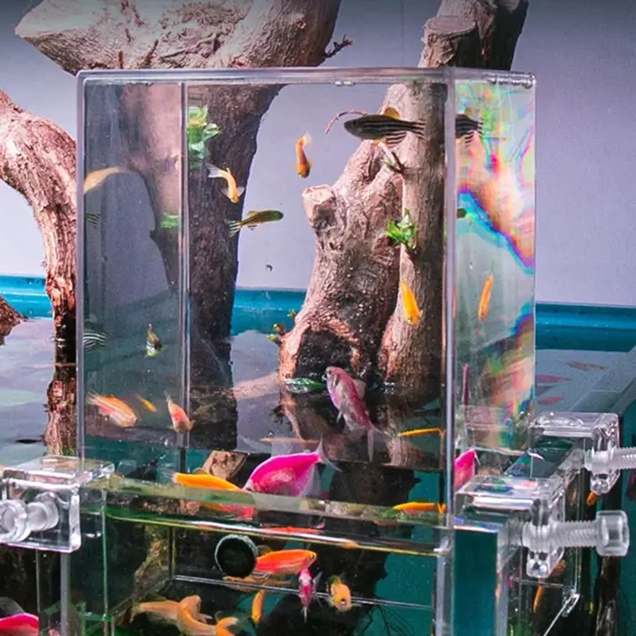 Aquariums pression négative Aquarium clair aérien Aquarium Extender écologique aménagement paysager 