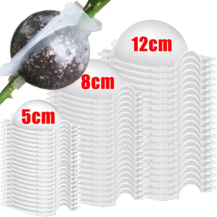 Boule de bouturage pour plantes