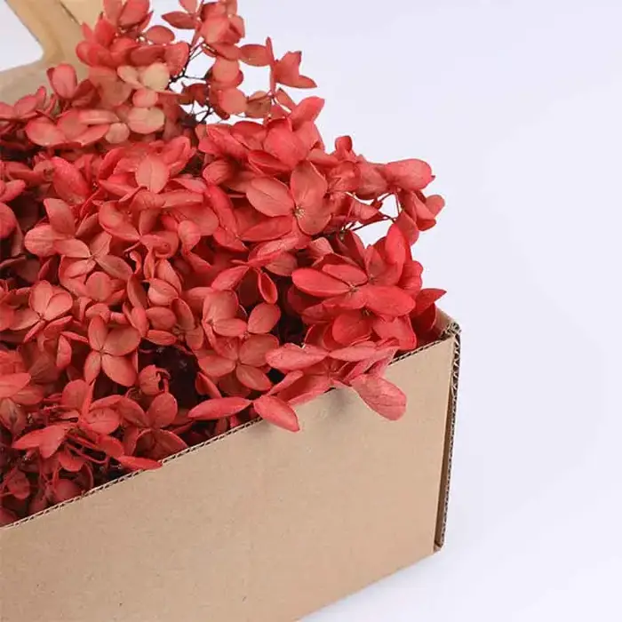Boîte-cadeau de pétales d'hortensia éternel séché