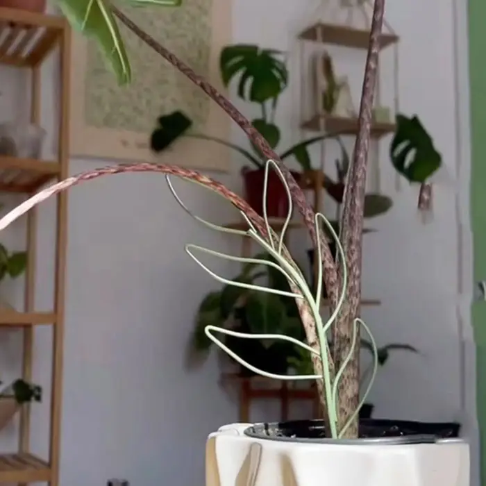 Treillis d'escalade de plantes en métal en forme de feuille