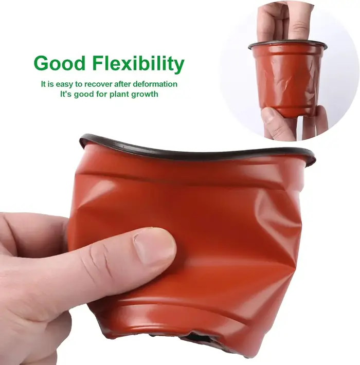 Pots de plantes en plastique avec étiquettes
