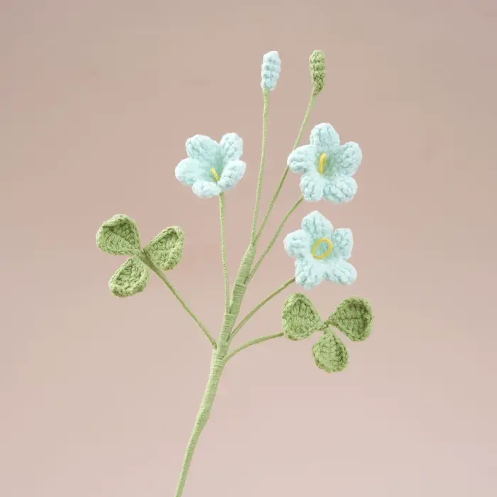 Bouquet au Crochet Oxalis mignon