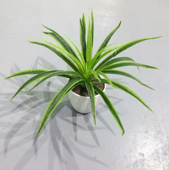 Plantes artificielles en plastique, branche de Chlorophytum, fausses plantes décoratives pour la mai