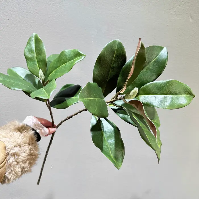 Feuilles de Magnolia artificielles 70CM, en Stock, pour la décoration de la maison, bols blancs, bou