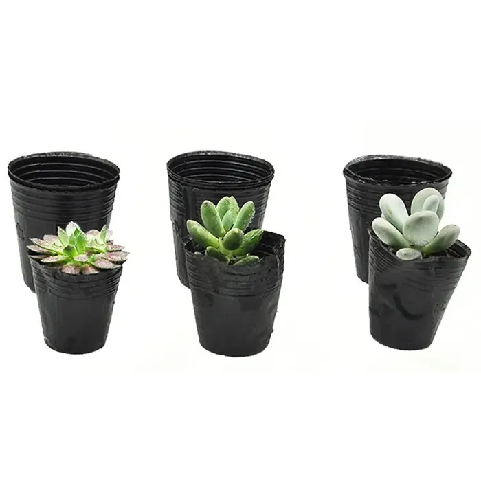 Pot de démarrage de semis en plastique noir, 50/100 pièces, Pots de semis flexibles pour démarrer de