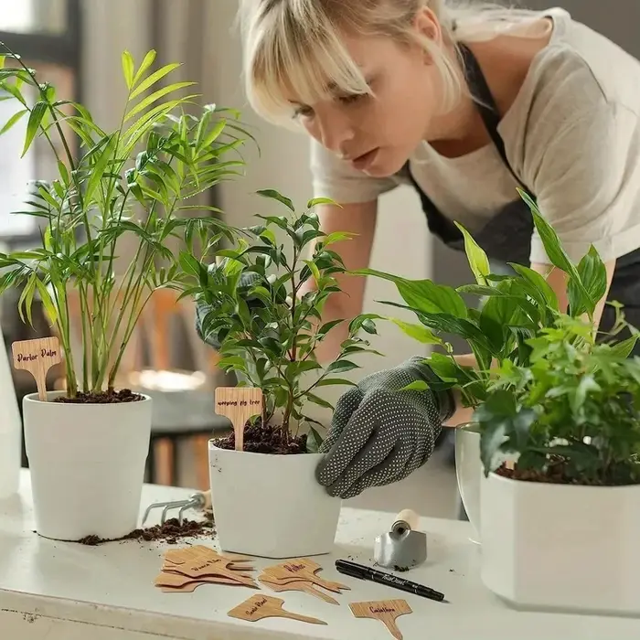 Étiquettes pour plantes