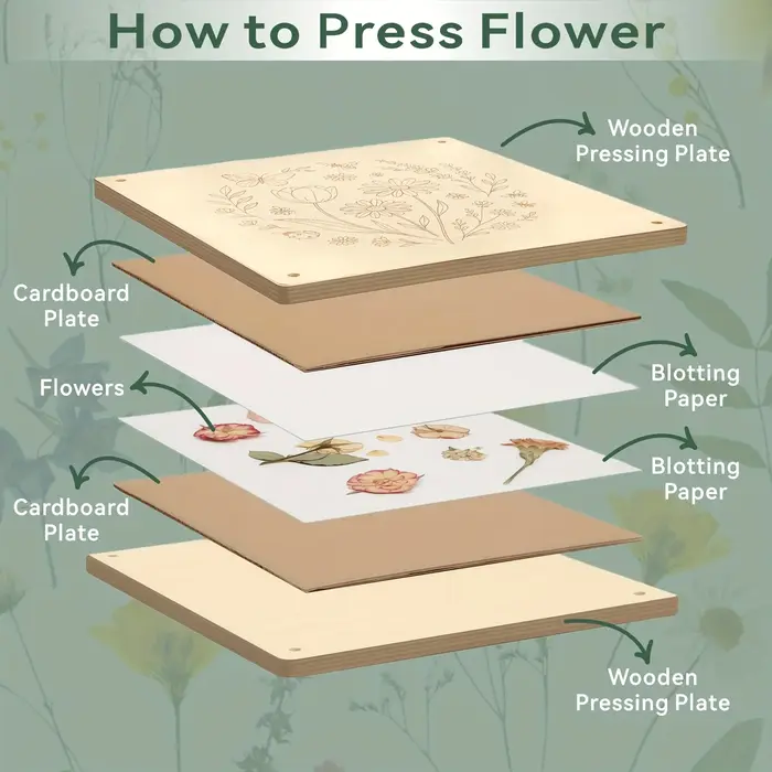 Kit de pressage de fleurs en bois, ensemble de pressage de feuilles et de plantes réutilisable pour la création de fleurs séchées DIY