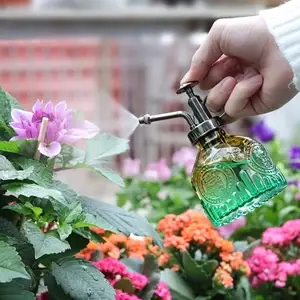 Arrosoir vintage durable pour plantes en pot d'intérieur