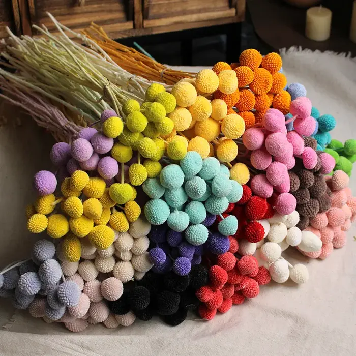 Bouquet de fleurs sèches en boule dorée