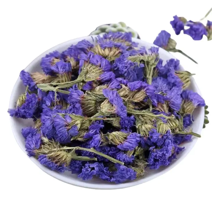 Myosotis bleu de haute qualité
