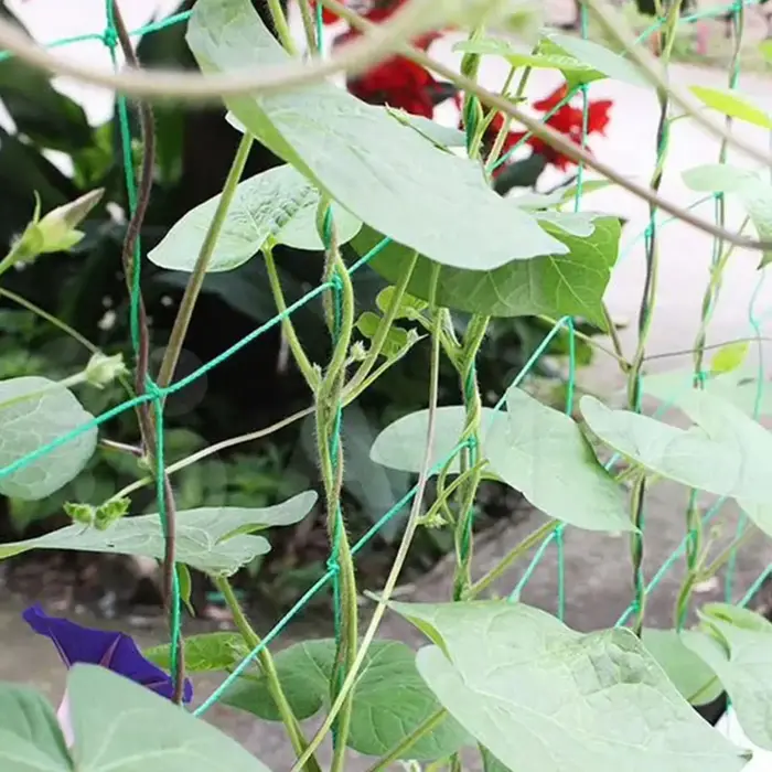 Filet de grimpement robuste pour plantes