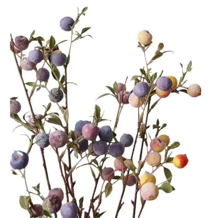 Ornements de fruits de jardinage