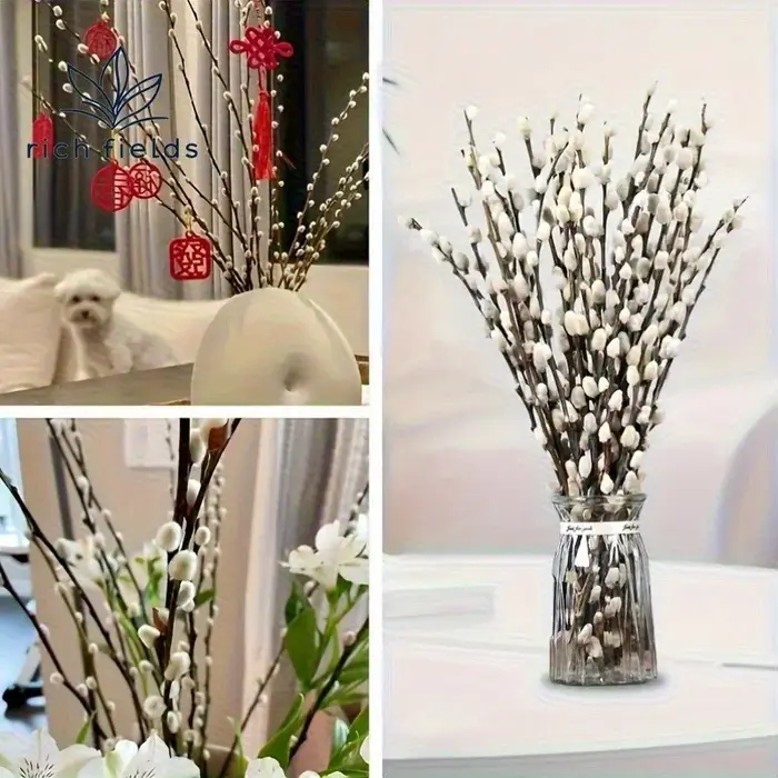 15 pièces de bouquet de saules argentés en fleurs séchées