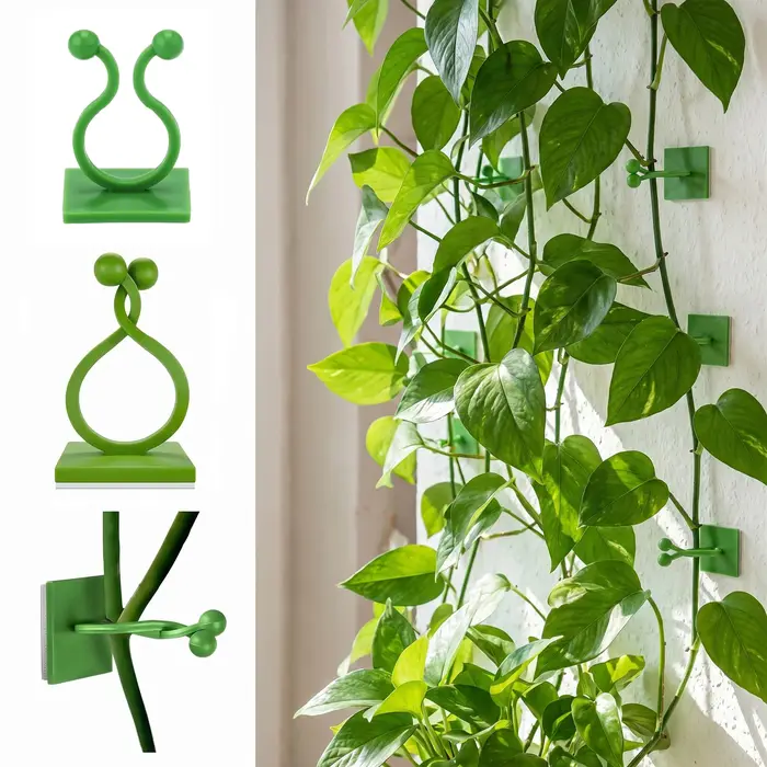 Clips muraux pour plantes grimpantes