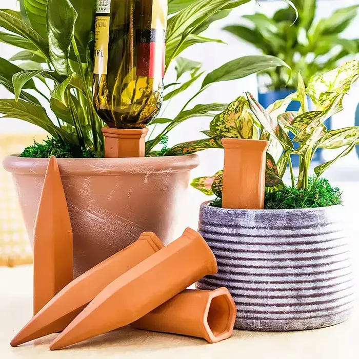 2 paquets, piquets d'arrosage automatique pour plantes