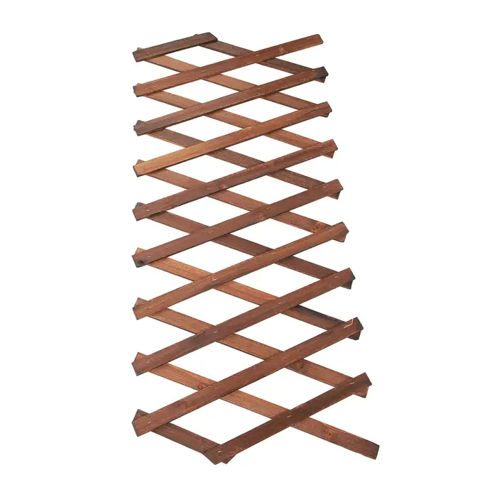 Treillis extensible pour plantes grimpantes