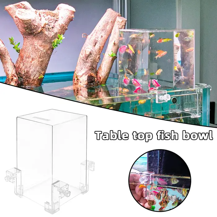Aquariums pression négative Aquarium clair aérien Aquarium Extender écologique aménagement paysager 