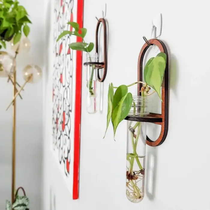 Support mural en bois pour plantes hydroponiques