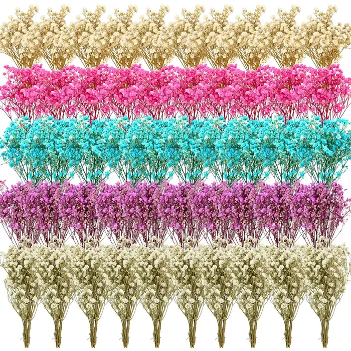 50 Pièces de Fleurs Séchées Naturelles Colorées Gypsophiles pour Arrangements Floraux DIY, Cadeaux de Mariage, Décoration de la Maison, Remplisseurs de Vases