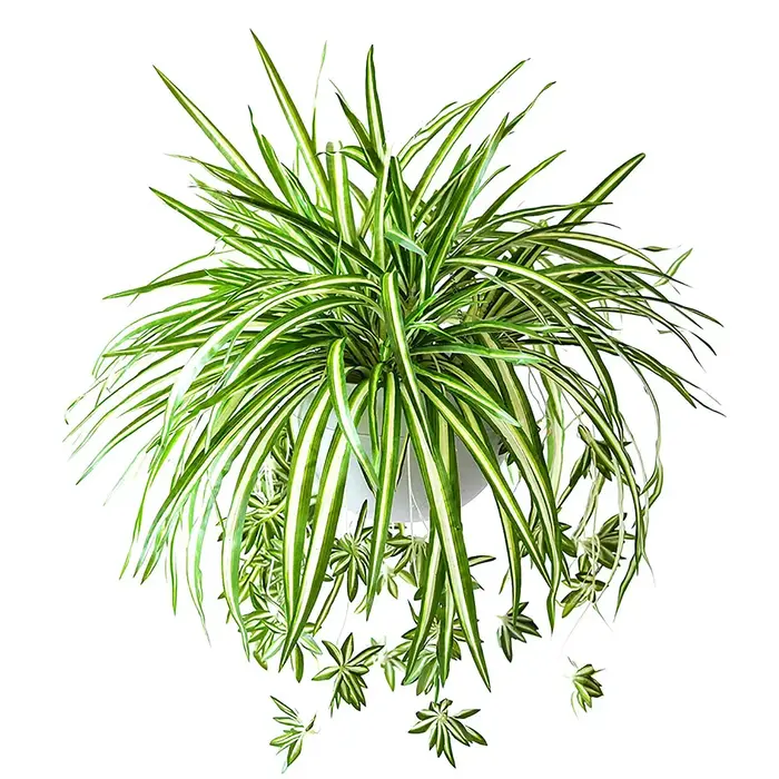 Plantes artificielles factice combo publicité plastique, fausse plante verte pour chambre, maison, c