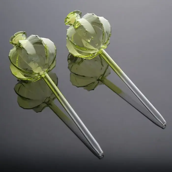 Communautés teur d'Arrosage existent en Verre pour Plantes d'Nik