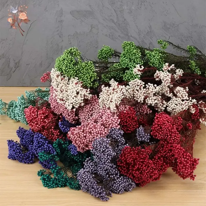 Bouquet de fleurs de riz éternel séchées naturelles