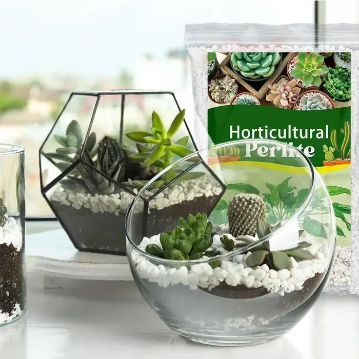 Perlite de jardinage, perlite organique pour plantes, substrat universel pour plantes succulentes et orchidées, adapté pour la couche de surface des pots