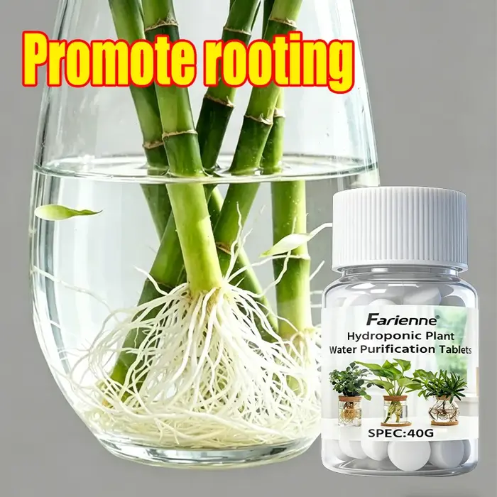 Comprimés de purification d'eau pour plantes hydroponiques, activateur de racines pour bambou porte-