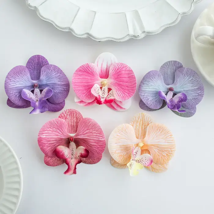 Orchidée papillon thaïlandaise