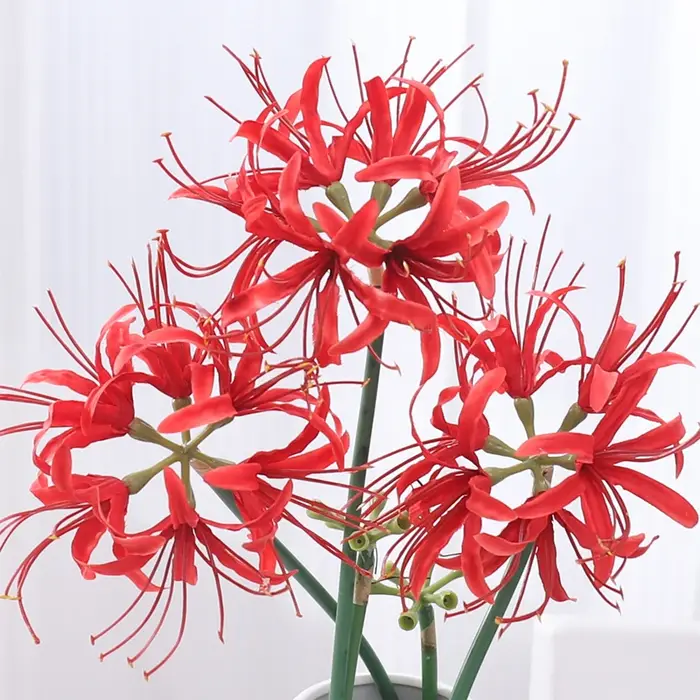 Kahaul 64 cm fleurs artificielles Higanbana branche belle fausse fleur couronne de noël maison Festival fête mariage jardin décor