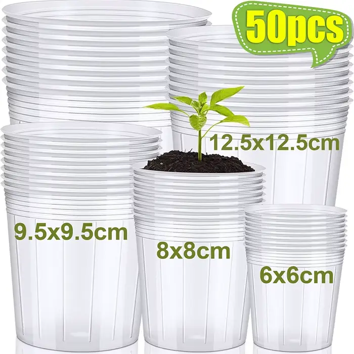 Pot de fleurs Transparent pour plantes