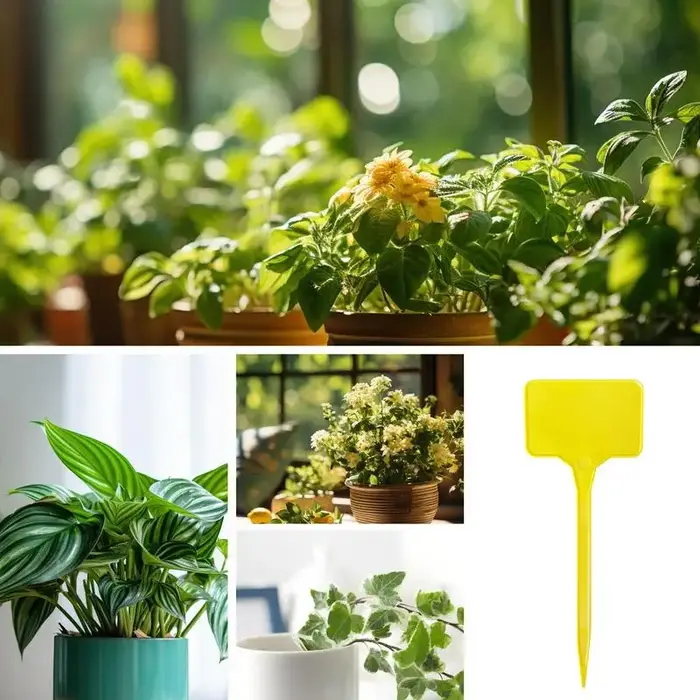 Étiquettes pour plantes de jardin 100 pièces