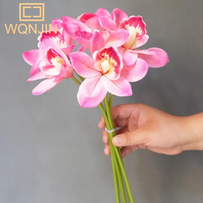 Orchidée papillon d'automne