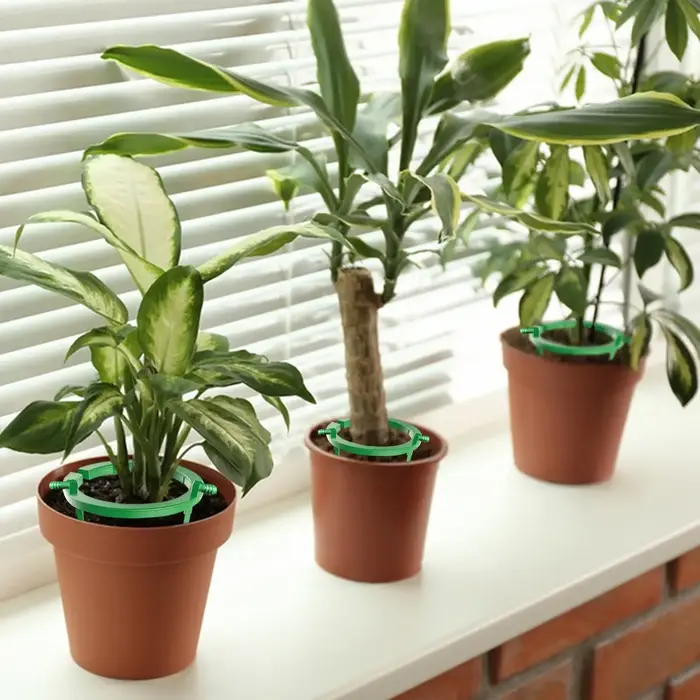 Anneaux d'irrigation pour plantes