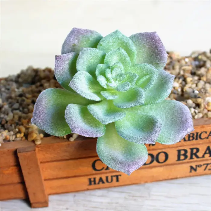 Plantes vertes succulentes artificielles