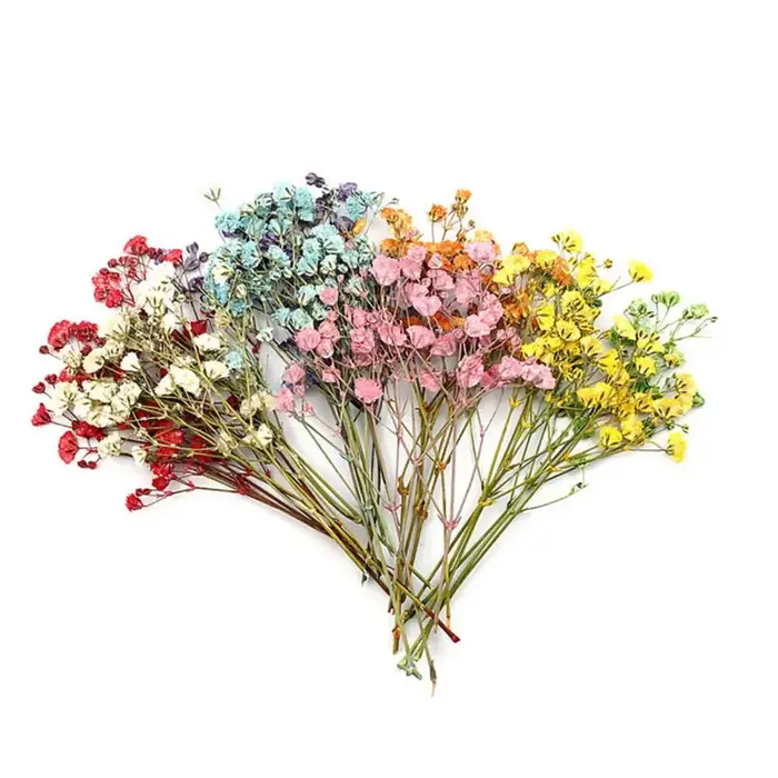 Charmants Bouquets de fleurs séchées portables